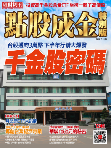 第1246期 點股成金